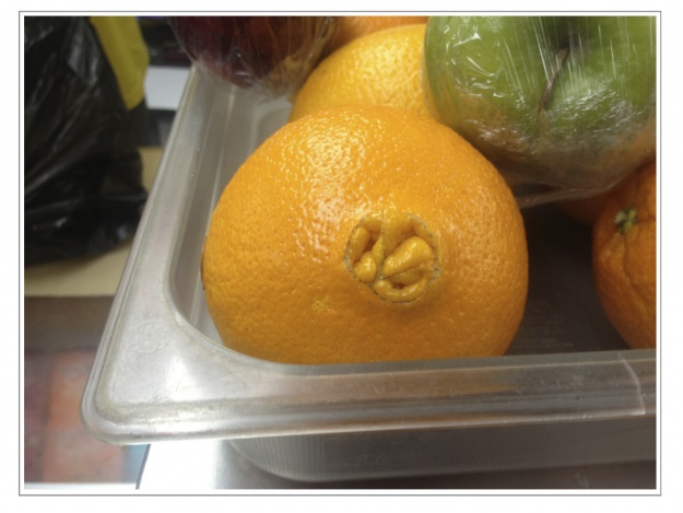 orange anus