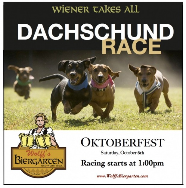 Wiener Dog Racve